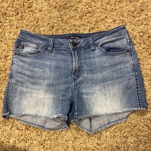 Stitch Fix Dear John Blue Jean Shorts with Distressed Raw Hem, size 29